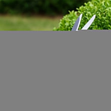 Gardening Tools - Heavy Duty Hedge Shear Adjustable Garden Scissor with Comfort Grip Handle