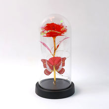Dome Luxe Eternal Rose Light