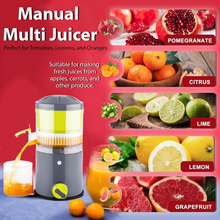 Ritu Hand Operated Compact Manual Juicer (Multicolor / 1 Pc)