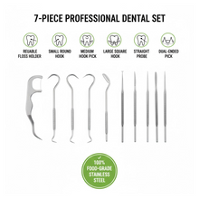 7 IN 1 STAINLESS STEEL TOOTHPICK FLOSSIER SET (1 SET / With Case)