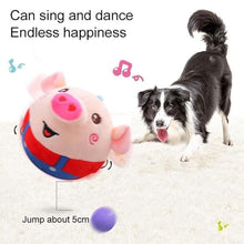 Dancing Piggy Ball Toy