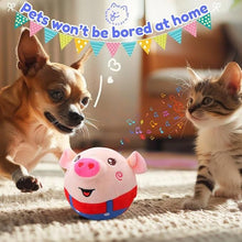 Dancing Piggy Ball Toy