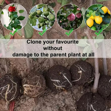 Reusable Plant Root Growth Balls with Locks (Pack of 5)