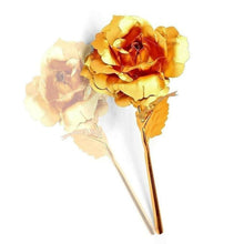 B Golden Rose is perfect for decorating homes, offices, cafes (3 Pc Set)