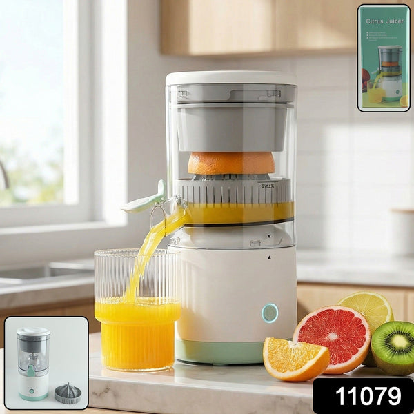 Fruit Juice Extractor