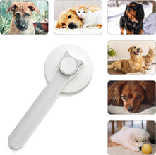 Pet Hair Removal Brush