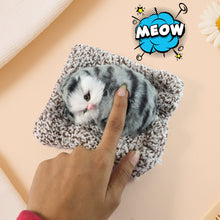 Adorable car ornament        
