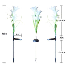 Solar Garden Flower Lights - (2Pc Set)